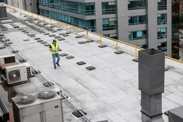 Best Skylight Installation and Repair  in Scandia, MN