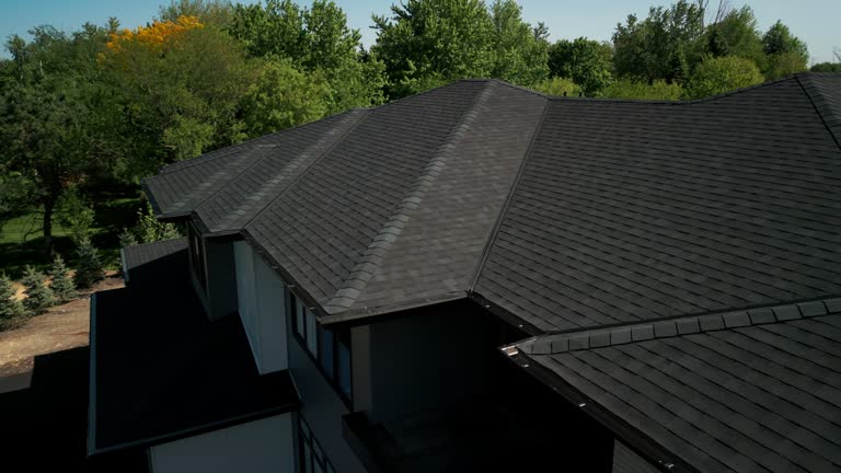 Best Steel Roofing  in Scandia, MN