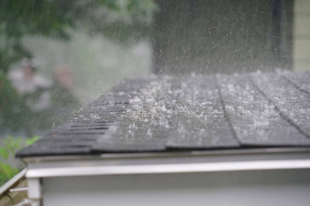 Best Roof Ventilation Installation  in Scandia, MN