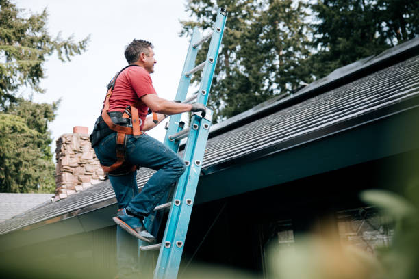 Best Solar Panel Roofing Installation  in Scandia, MN