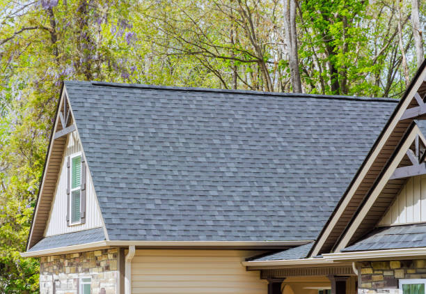 Best Roof Maintenance and Cleaning  in Scandia, MN
