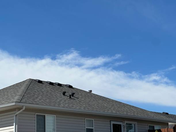 Best Wood Shake Roofing  in Scandia, MN